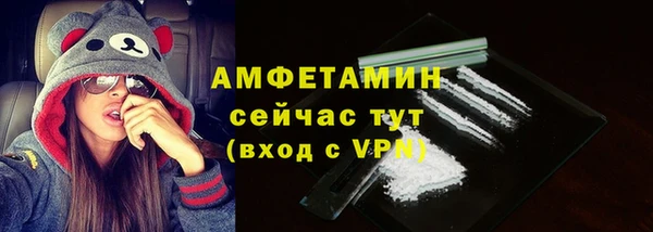 сатива Балахна