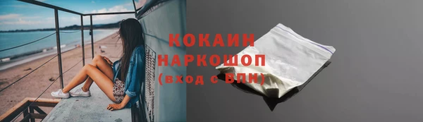 сатива Балахна