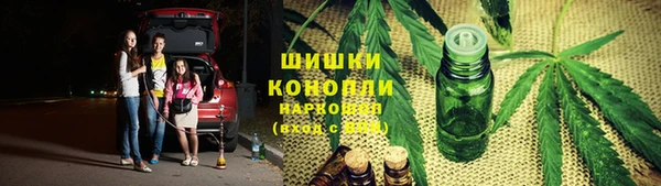 сатива Балахна
